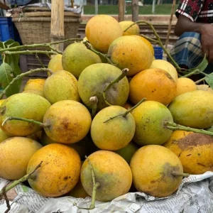 Himsagor | হিমসাগর আম