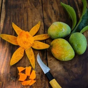 Gopalvogh | গোপালভোগ আম