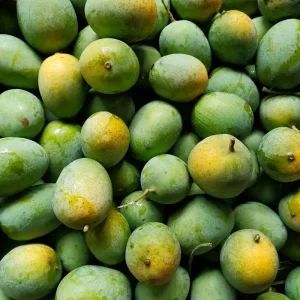 Langra | ল্যাংড়া আম