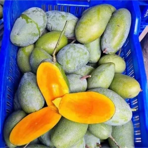Nakfozli | নাকফজলি আম