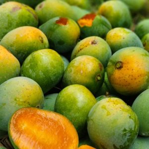 Himsagor-হিমসাগর
